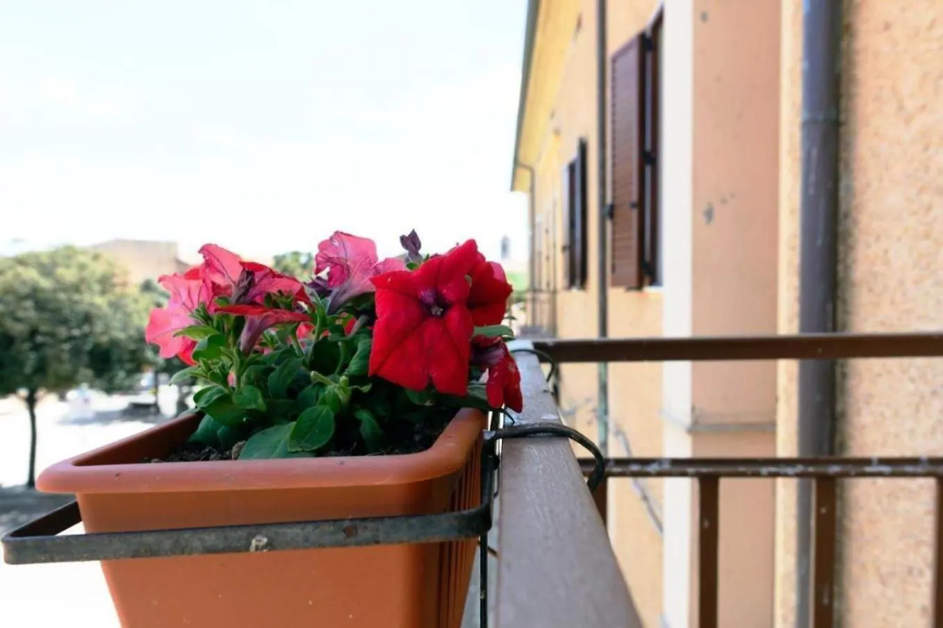 B&B La Casa Di Dorothy Telti