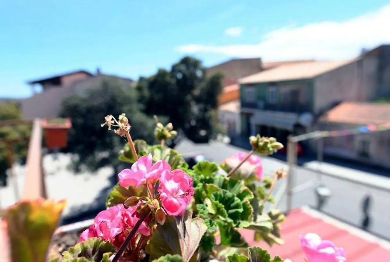 Bed & Breakfast B&B La Casa Di Dorothy Telti